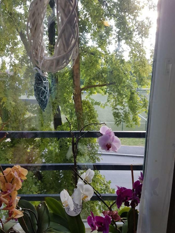 Studio Apartman Zagreb Zapad Vrapce Екстер'єр фото
